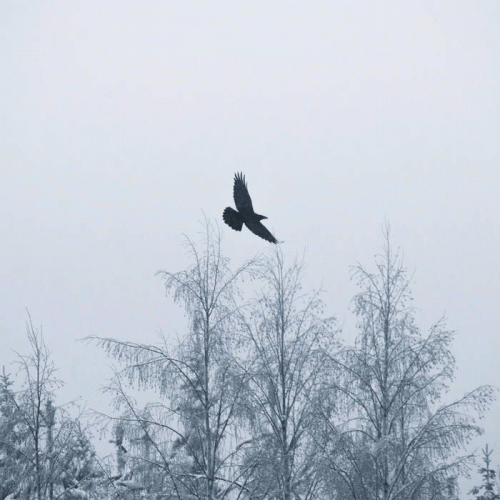 Sammas' Equinox : Messenger of Cold Plains